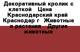 Декоративный кролик с клеткой › Цена ­ 800 - Краснодарский край, Краснодар г. Животные и растения » Другие животные   